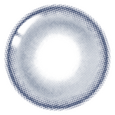 Lenstown 1-Day Odd I's Ocean Gray (10 Pack)